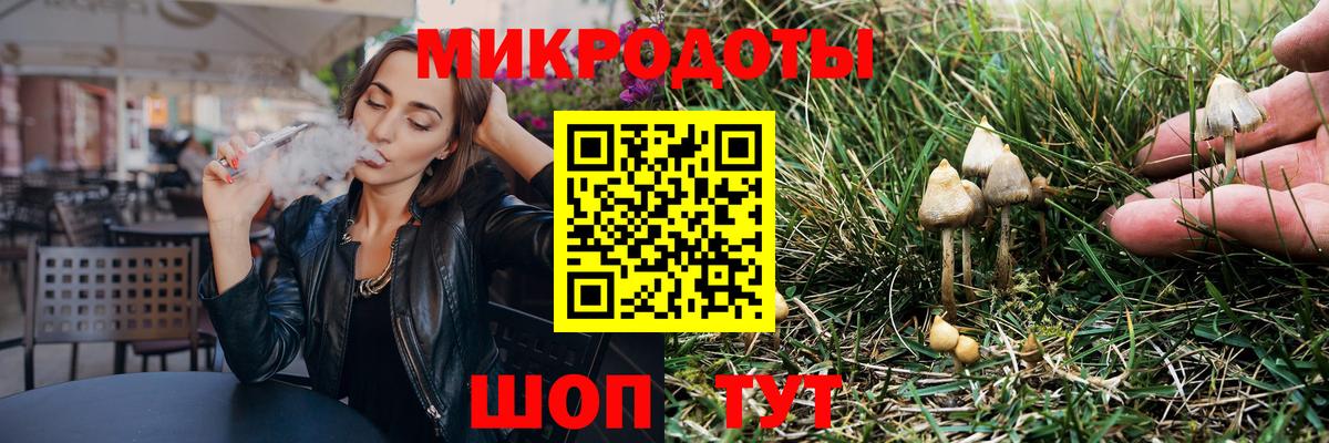 Галлюциногенные грибы Psilocybe  наркошоп  Галлюциногенные грибы мухоморы  Котовск  Вход с VPN 