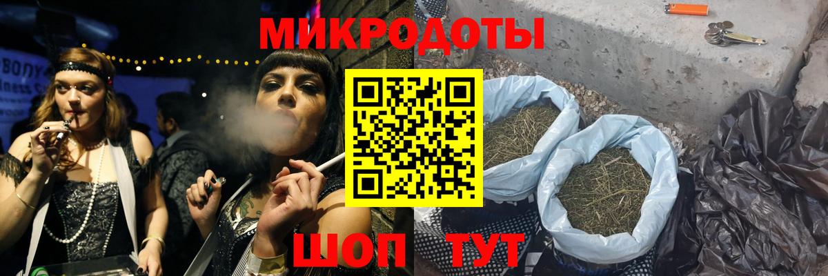 Галлюциногенные грибы Psilocybe Котовск